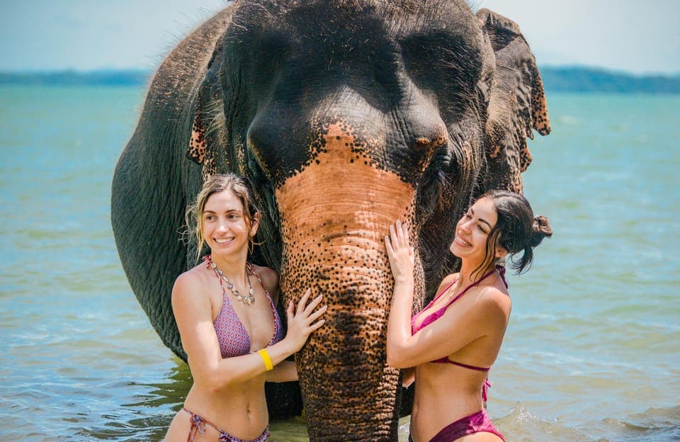 Phuket: Beach Walk with Elephants, Rain & Care