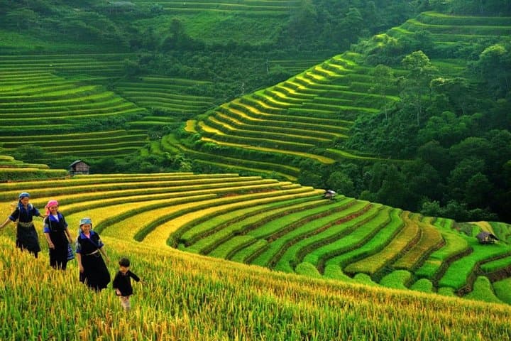 Private Car and Tour Guide Exploring Northern Vietnam 
