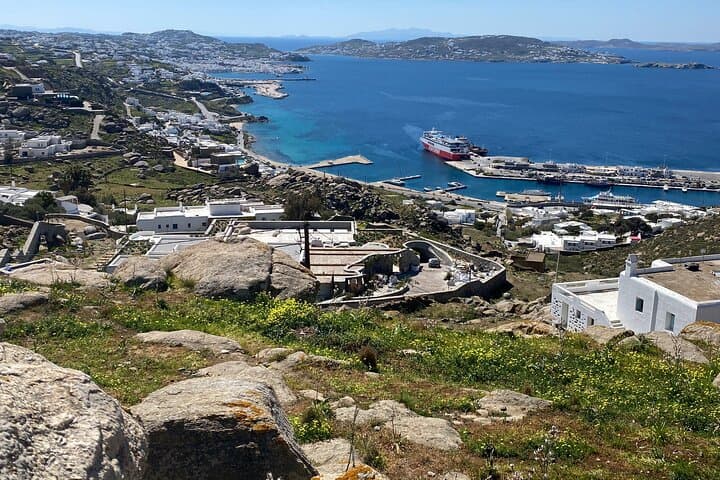 Half Day Personalized Mykonos Experience