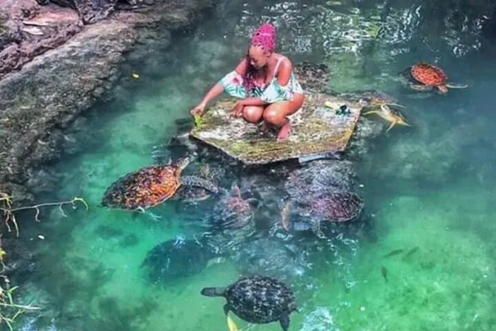 Zanzibar Salaam Cave Swimming and Feeding Sea Turtle in Kizimkazi