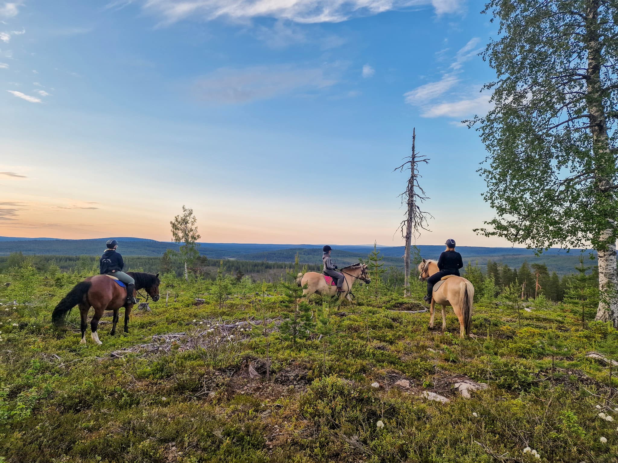 Horse riding over the hills 4 hour (ADVANCED ONLY)