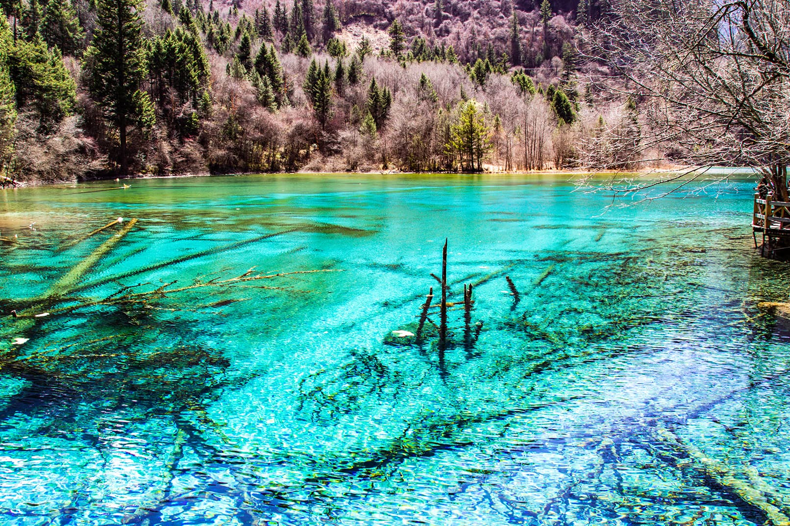 2-Day Sichuan: Pandas, Giant Buddha, Jiuzhaigou