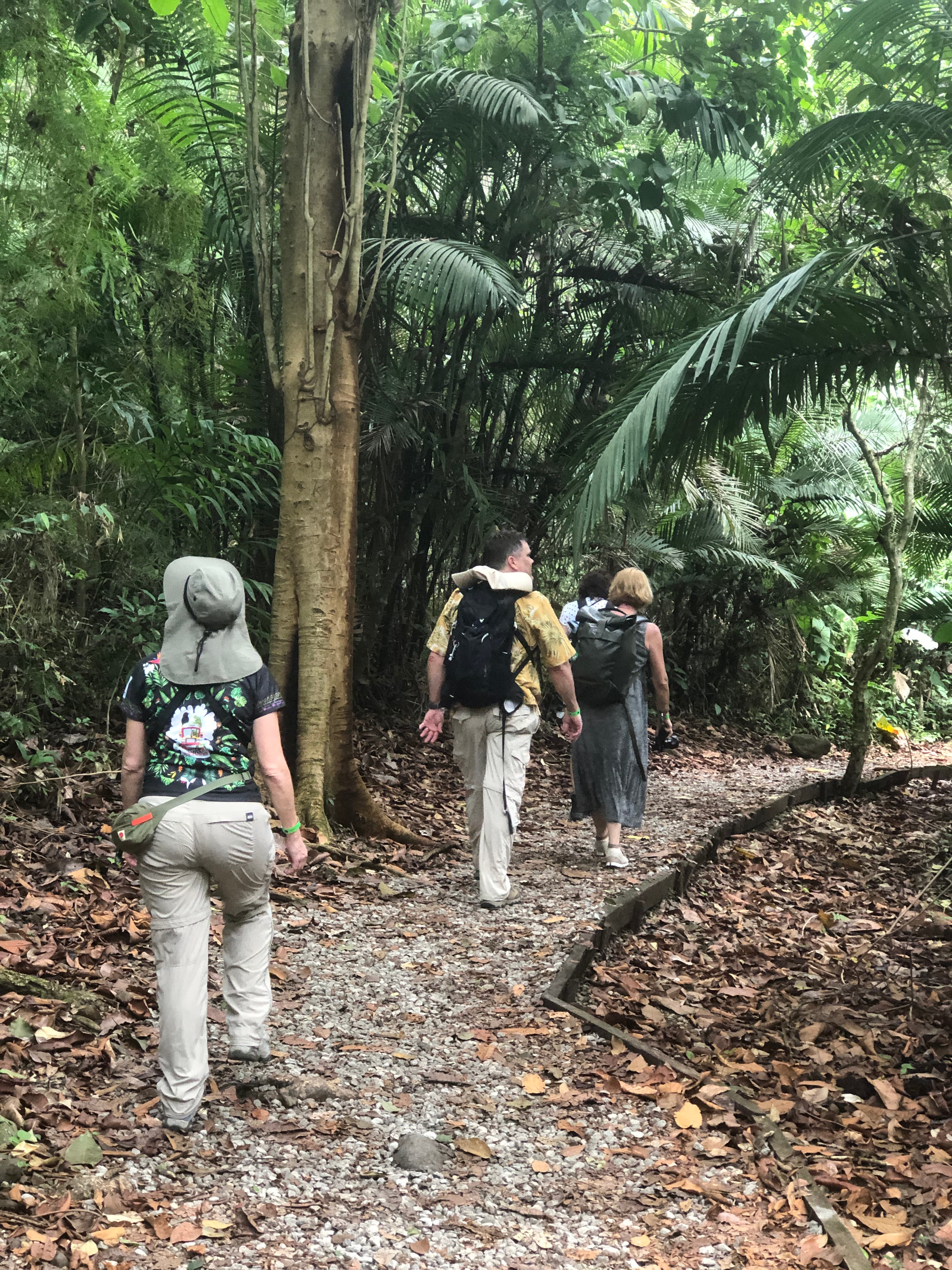 Metropolitan Park Hiking Ecotour