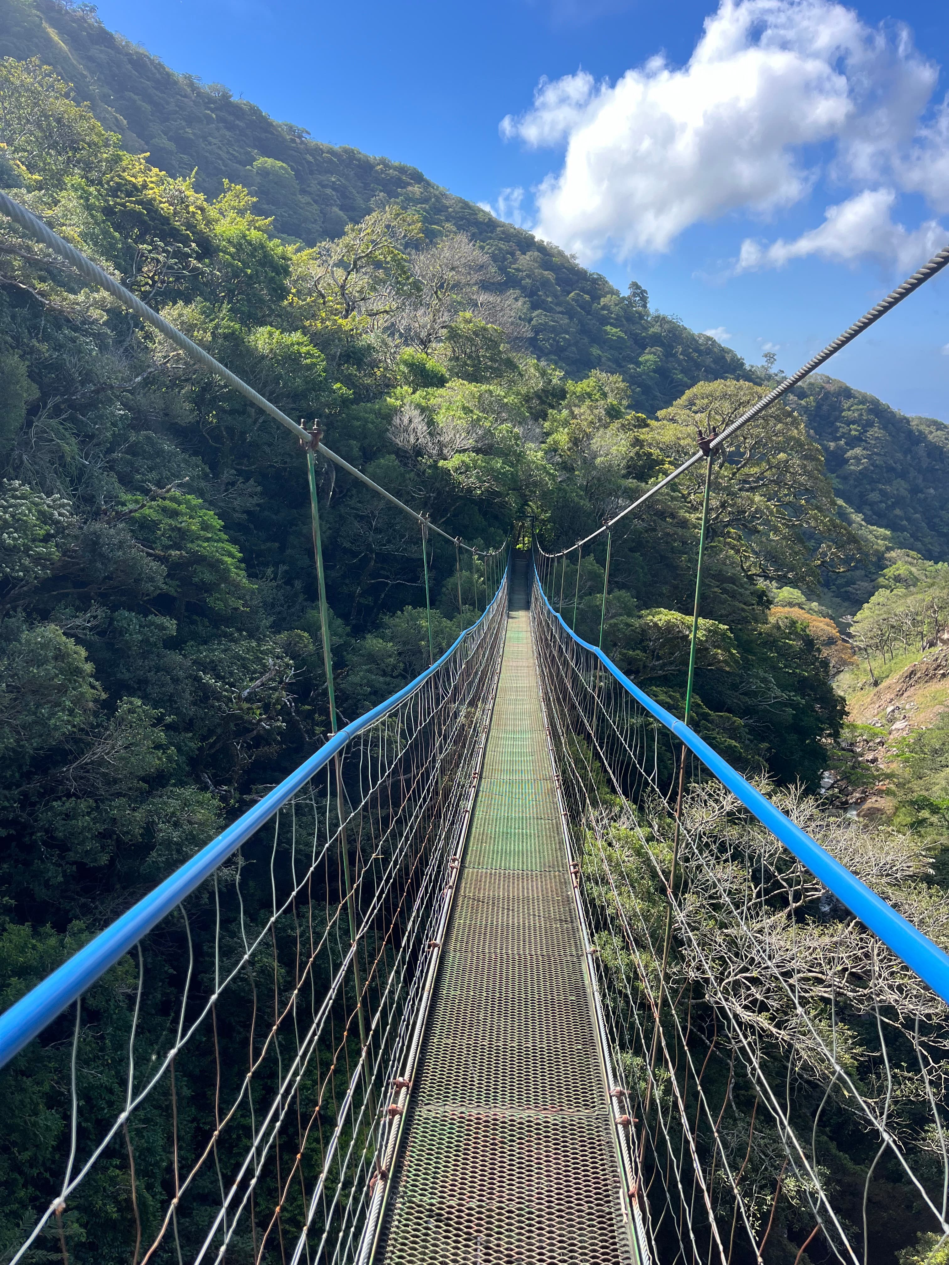 Miravalles Volcano: Hanging Bridges+Hot Springs & Mud Baths