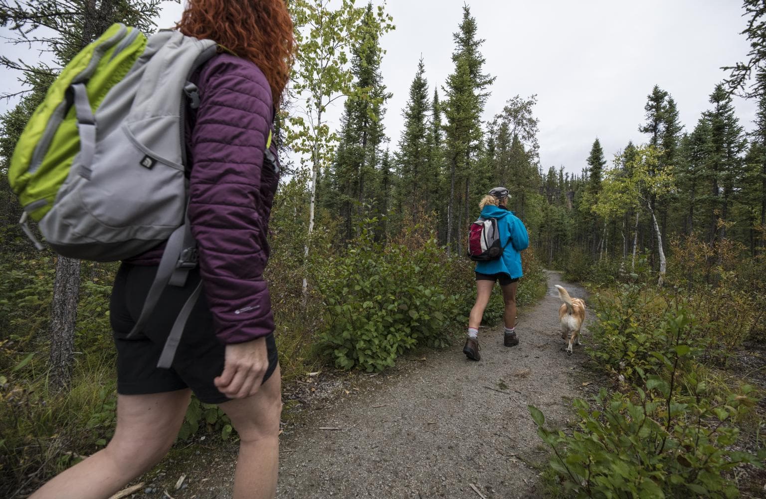 Cameron Falls Nature walk