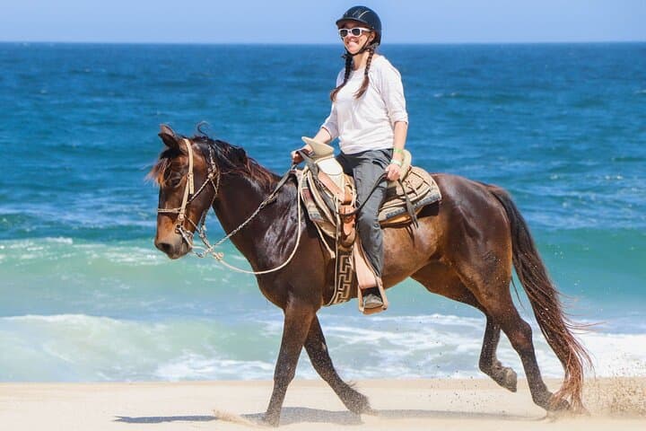 Horse Riding on the beach With Transfer From Sharm El Sheikh