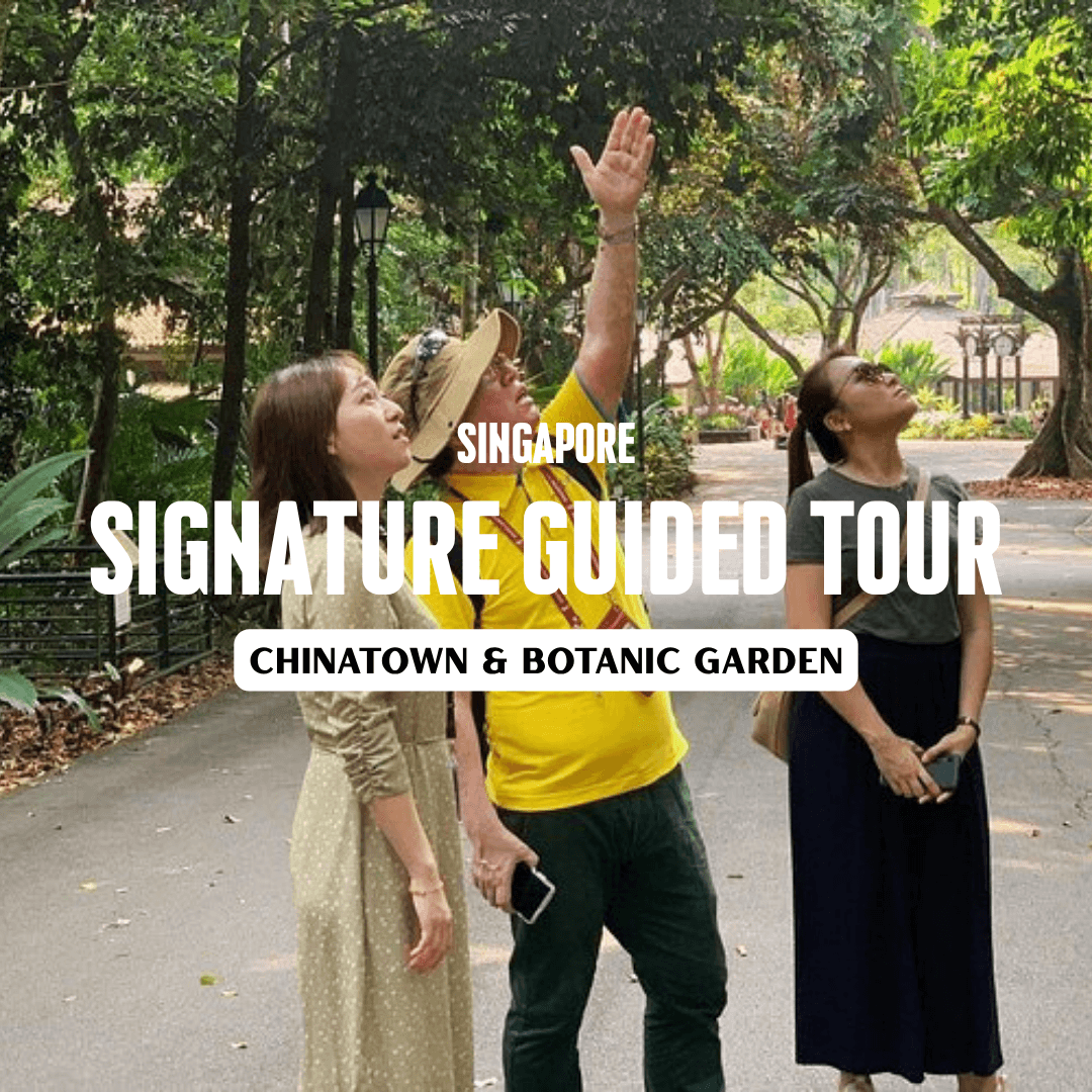 (Free eSIM) Singapore Signature Guided Tour (Chinatown & Botanic Garden) 