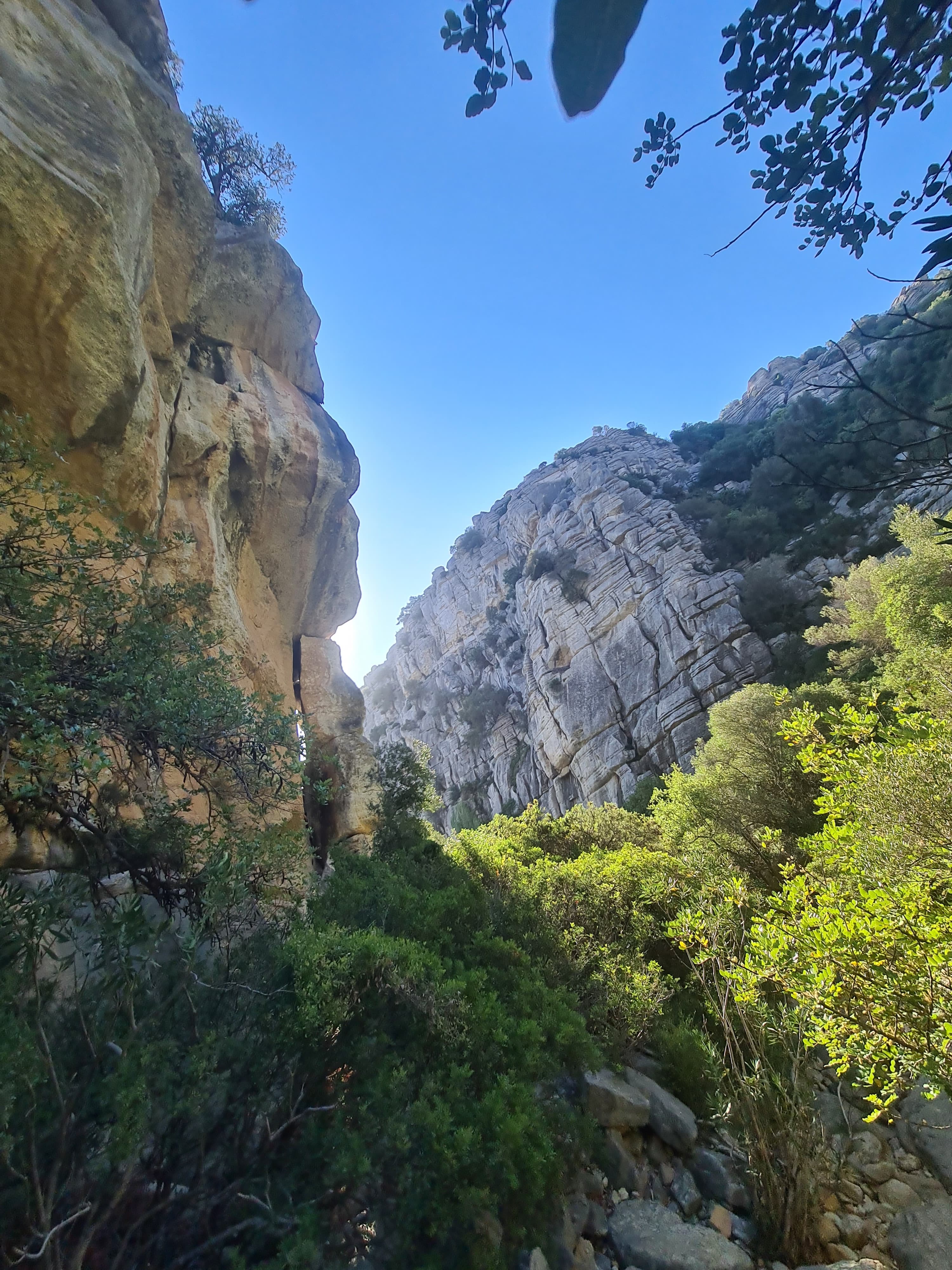 Private Hiking with transfer | Canuto de la Utrera