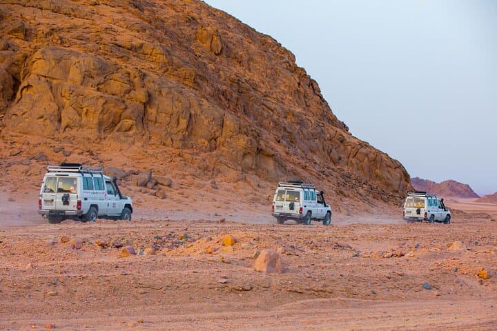 HRG Family Safari Quad, Jeep, Bedouin life, Dinner, Free shopping