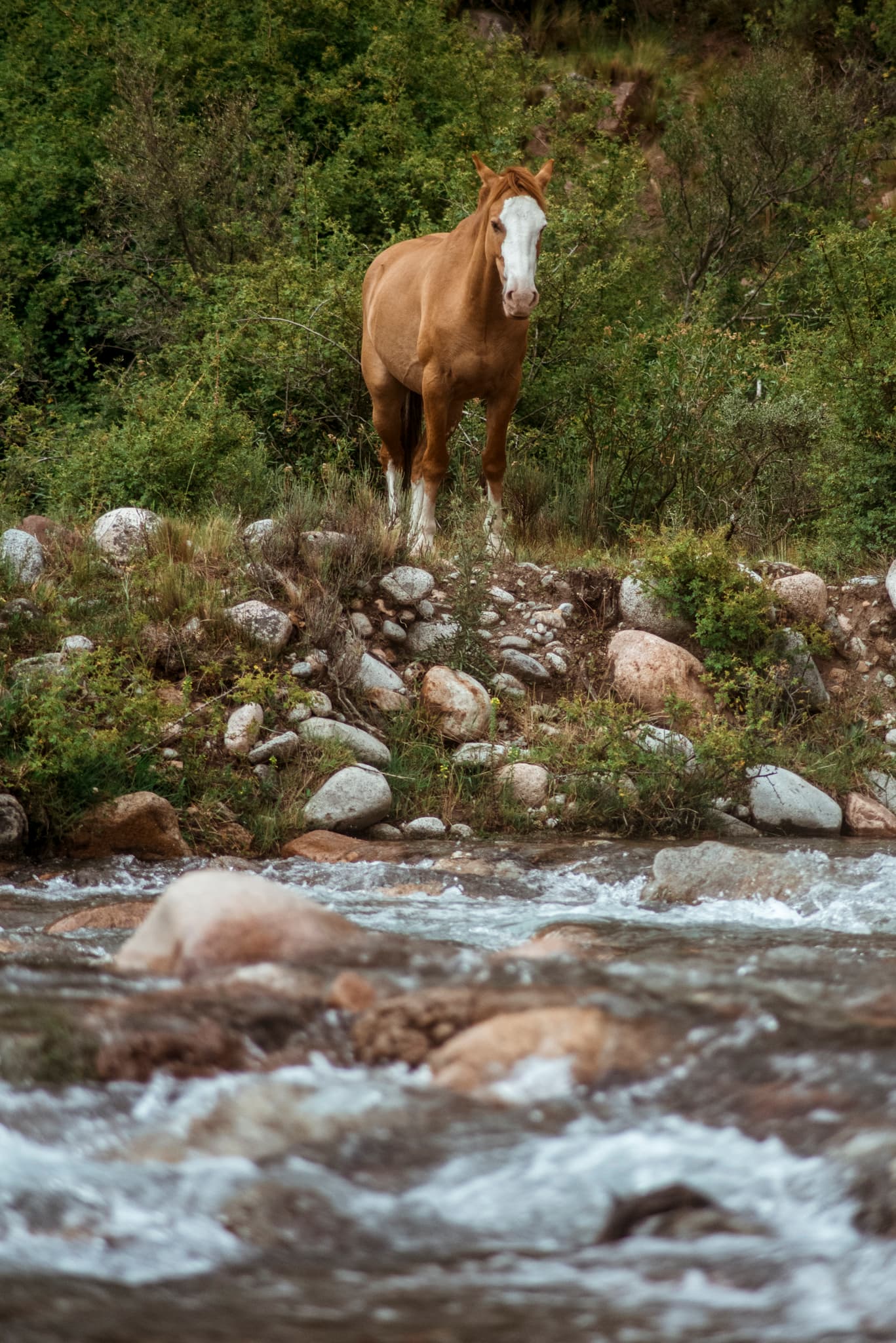Hiking in Quebrada del Cóndor