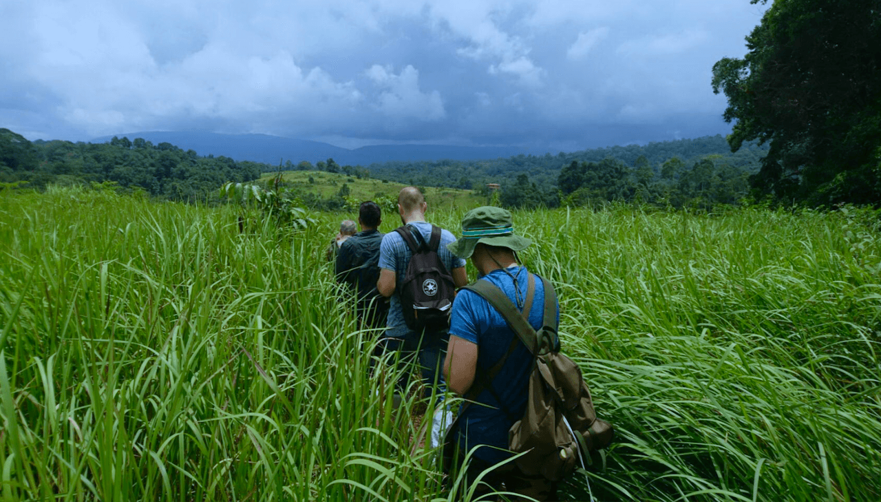 Khao Yai National Park Adventure: Waterfalls & Hiking Trails