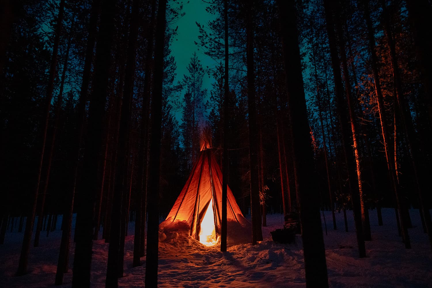 Northern Lights & Reindeer Experience