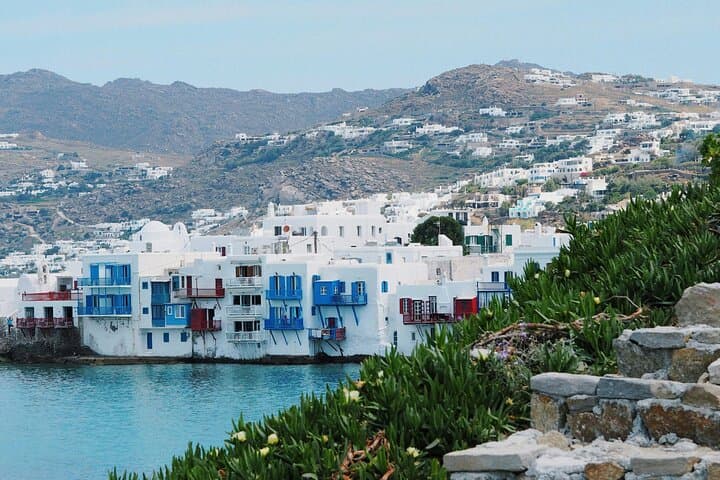 Mykonos Private Highlights Tour See It All