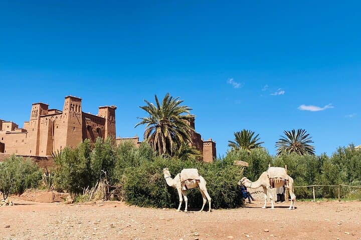 2-Days Ouarzazat & Ait ben Hadou Kasbah tour from Marrakech