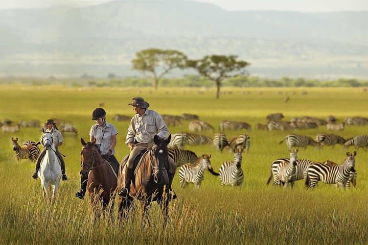 8 DAYS BUDGET GROUP JOINING KENYA AND TANZANIA SAFARI