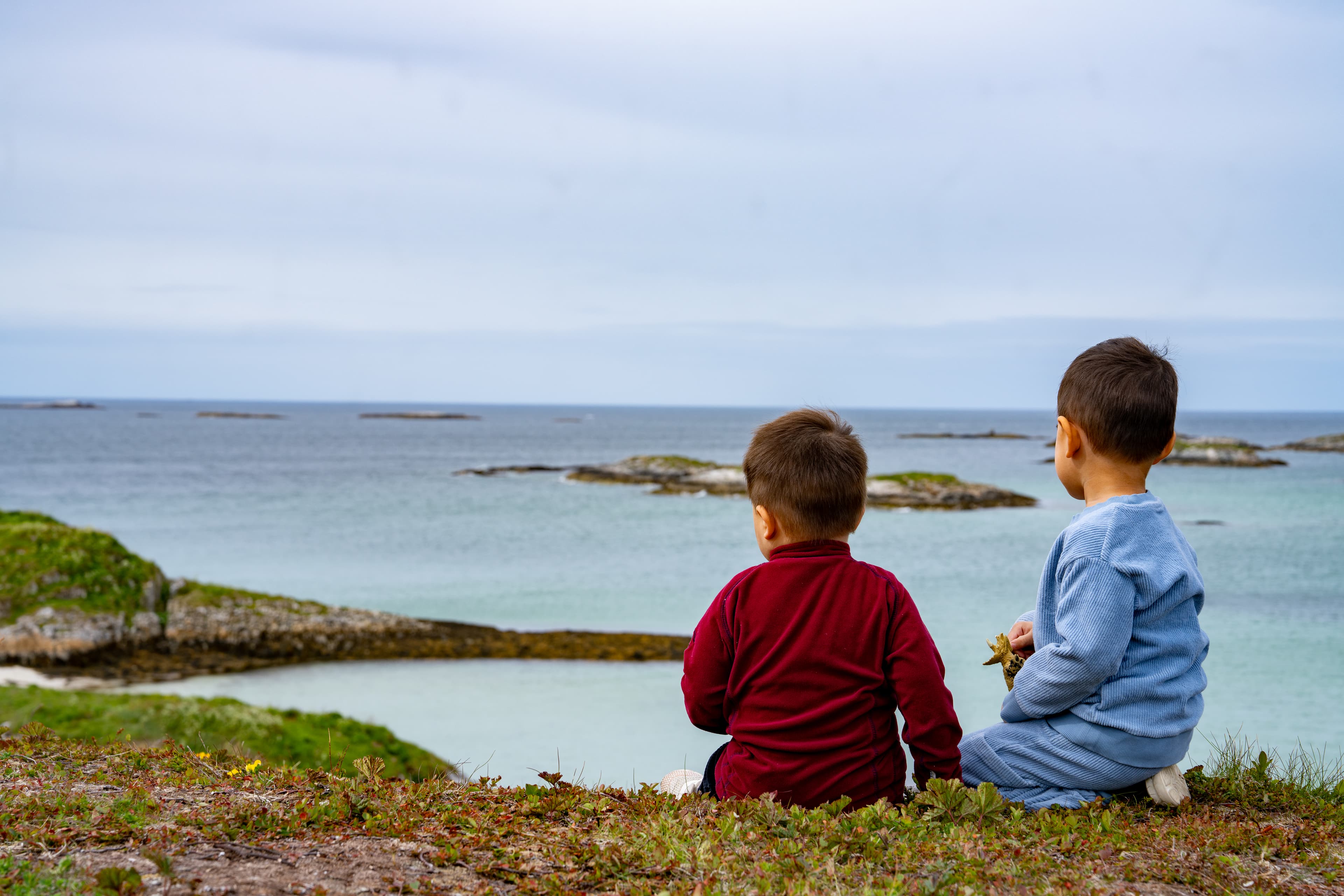 Fjordtour and sightseeing for cruiseship guests