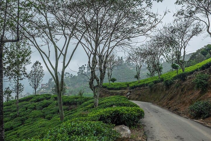 Airport Taxi Transfers from Colombo Airport to Haputale