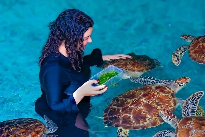 Zanzibar Private 5 Day Minivan Tour