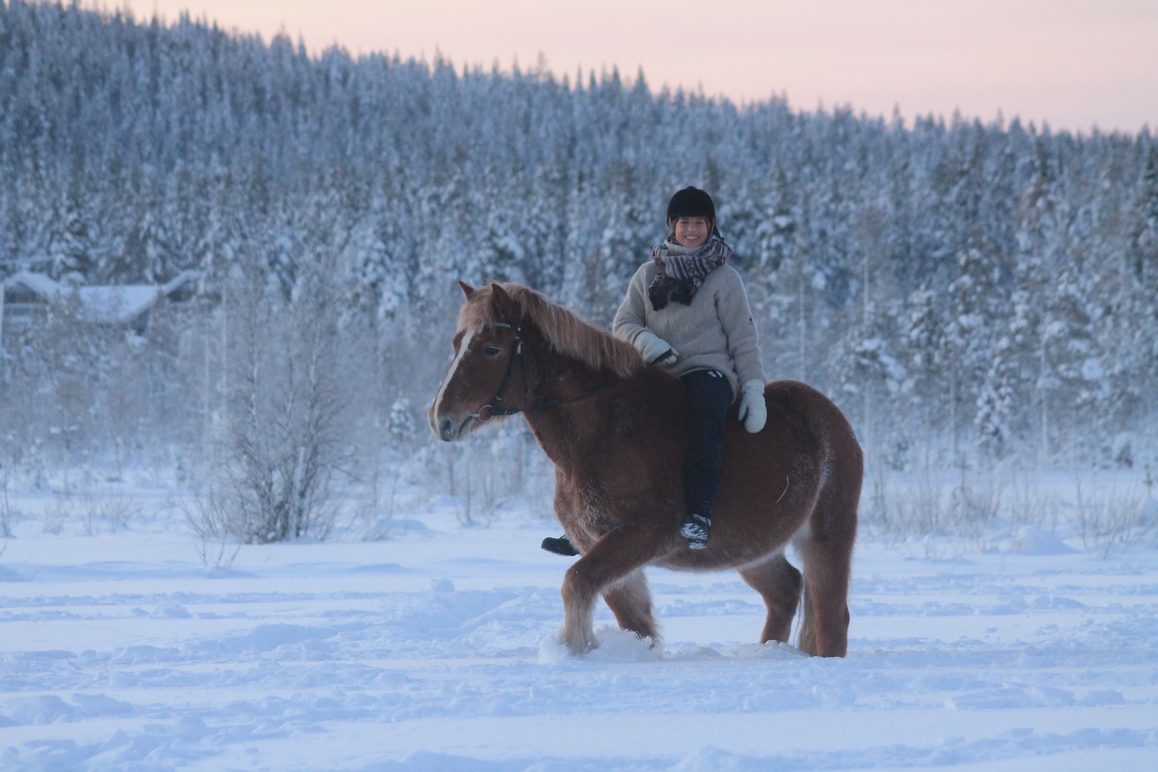 Bear's Way – Horseback trail ride