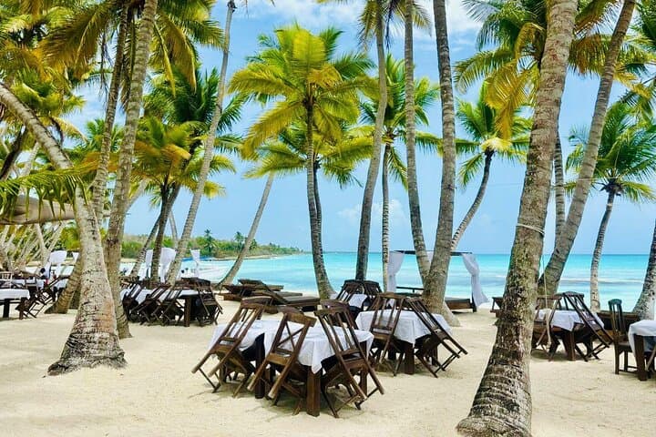 Saona Island Full Day Tour with Buffet Lunch, Paella, & Open Bar