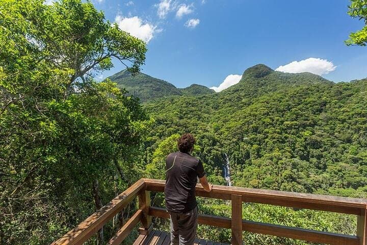 Private 6-hour Hiking Tour in the Tijuca Forest: Waterfalls, Viewpoints & Picnic