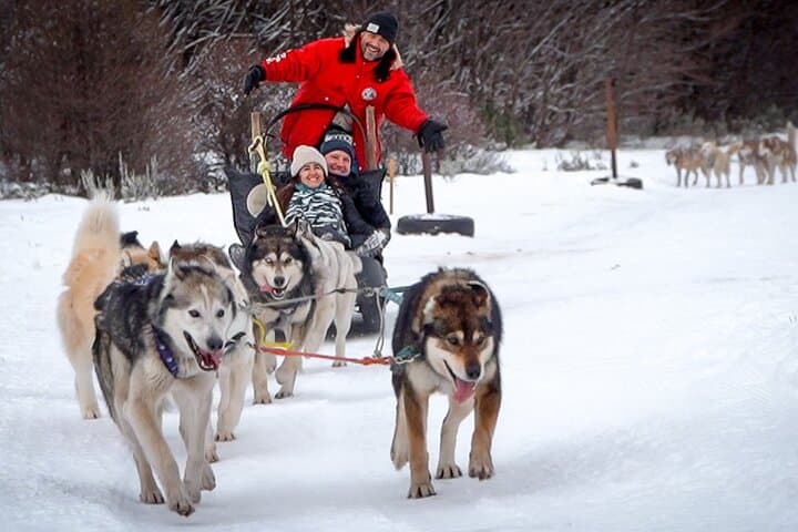 Winter in Ushuaia: Snowshoes, Snowmobile and Sleigh Rides