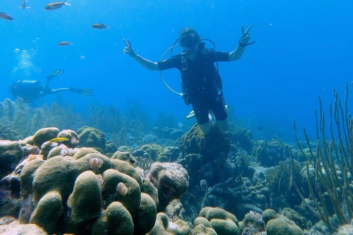 Discover Scuba Diving Experience