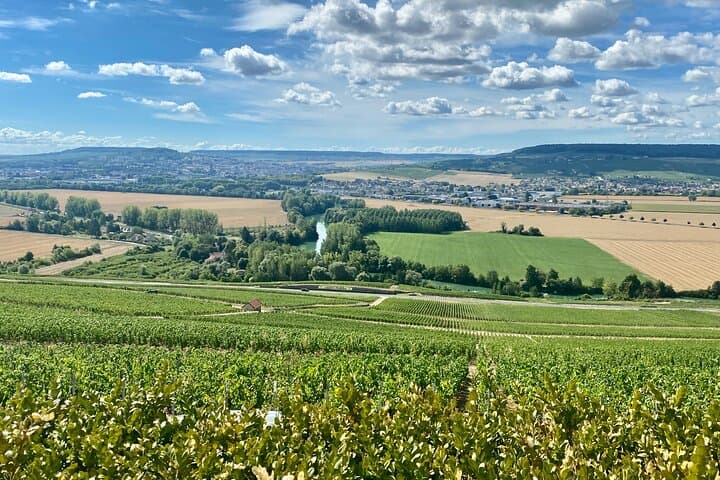 Champagne Boizel since 1834 Half day Private trip from Paris.