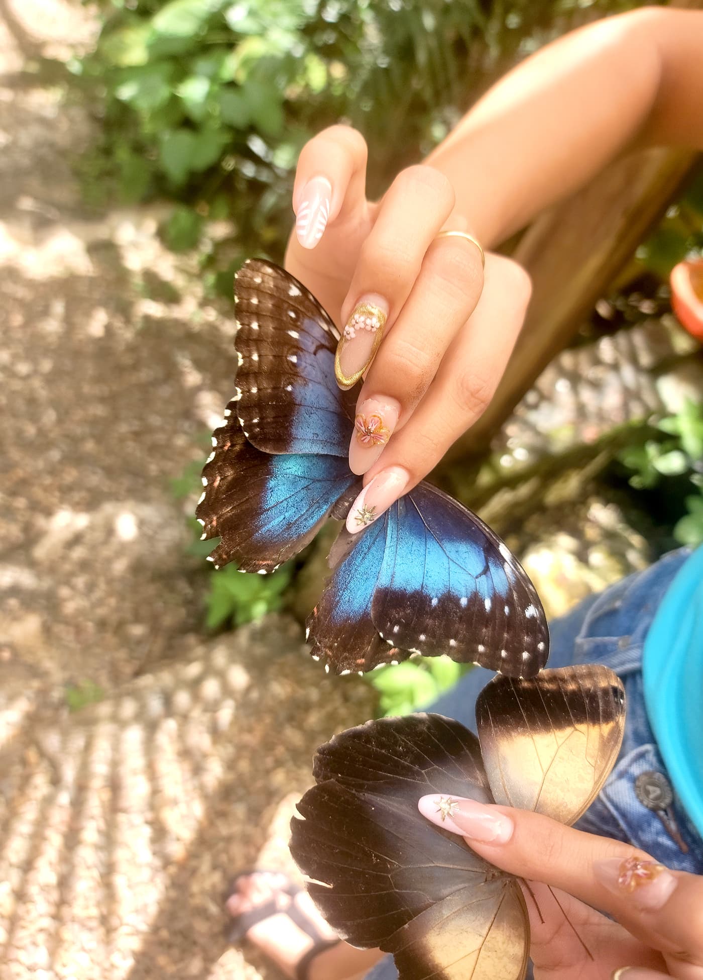 Chocolate and Coffee Making with Butterfly Farm Combo Tour