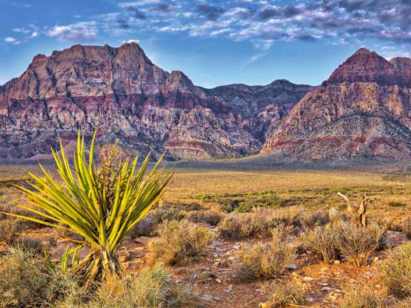 Red Rock Canyon