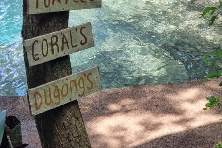 Snorkeling at Top Rock with Yumi Tours