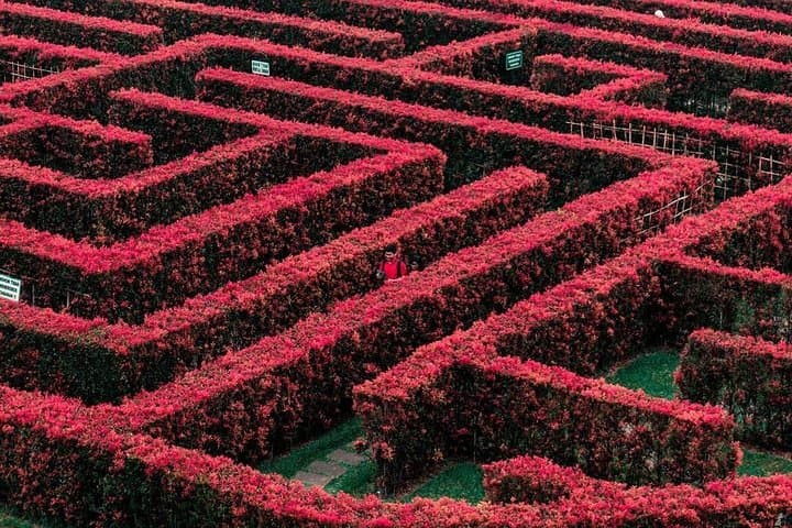 Private Safari & Tour to High land Puncak, Tea walk & Flower garden from Jakarta