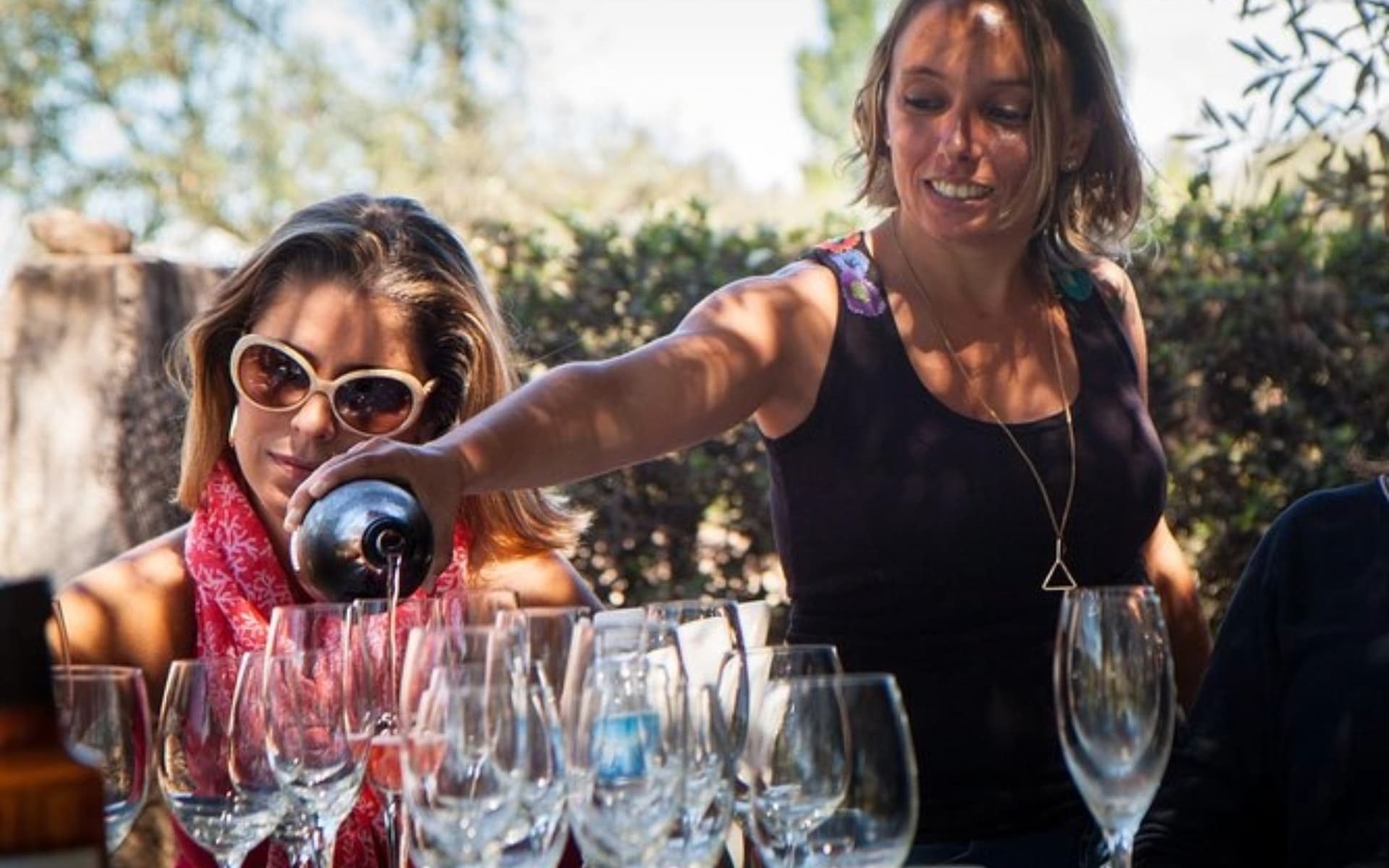  Tour de Bodegas y Fábrica de Aceite con Degustación en Mendoza