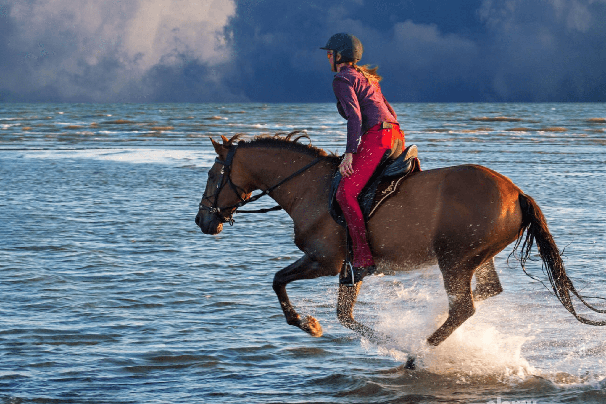 Beach Horseback Riding with Hotel Transfers