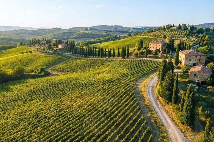"Ramble Through The Rolling Hills Of Chianti" with lunch & Wine Tastings