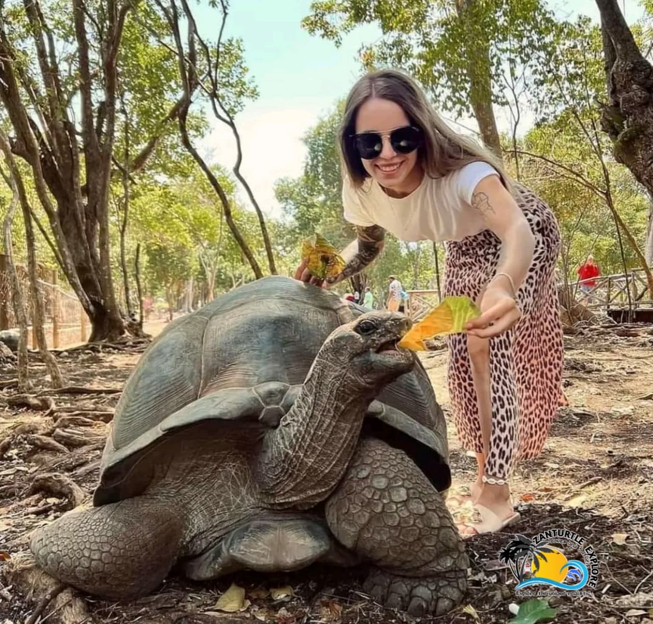 Zanzibar Prison Island Giant Big Tortoise Tour