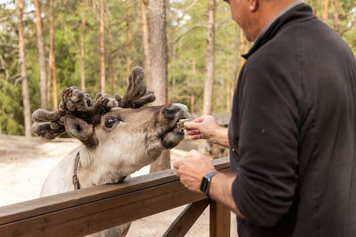 Reindeer Park Adventure