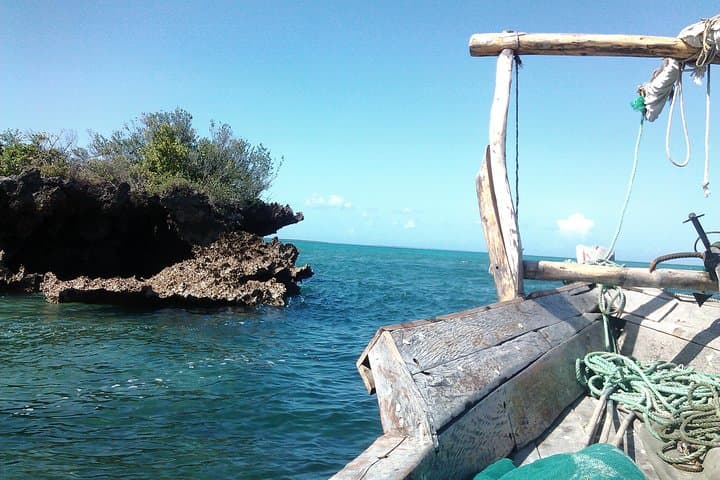 Private Full-Day Cruise on Sandbank and Kwale Island