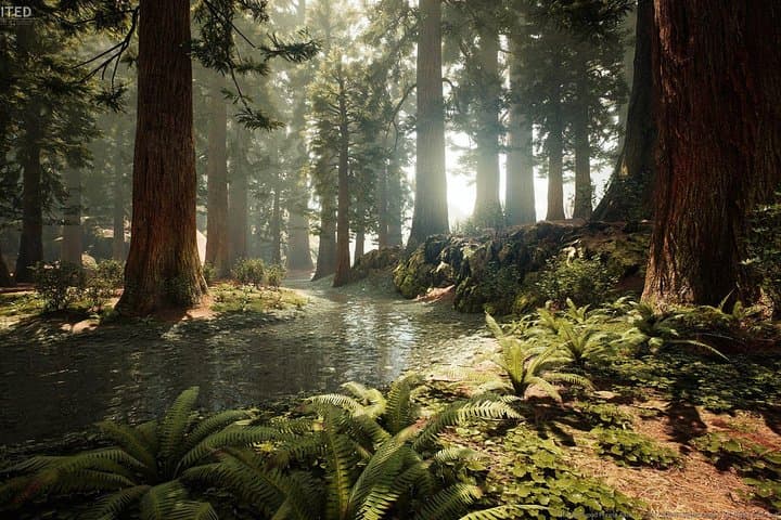 Blue Springs, Redwood Forest, Waiotapu Geothermal Park day Tour