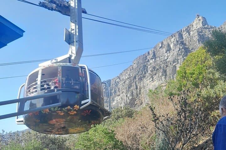 Table Mountain Botanical Garden Wine Tasting at Groot Constantia
