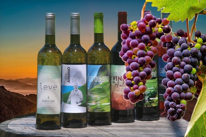 Guided Tour Beyond Vineyards Cabo Girão Skywalk and 4x4 Adventure