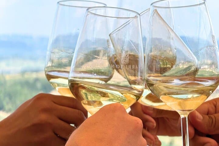 Half-day Chianti Classico Wine tour from Florence - Small Group