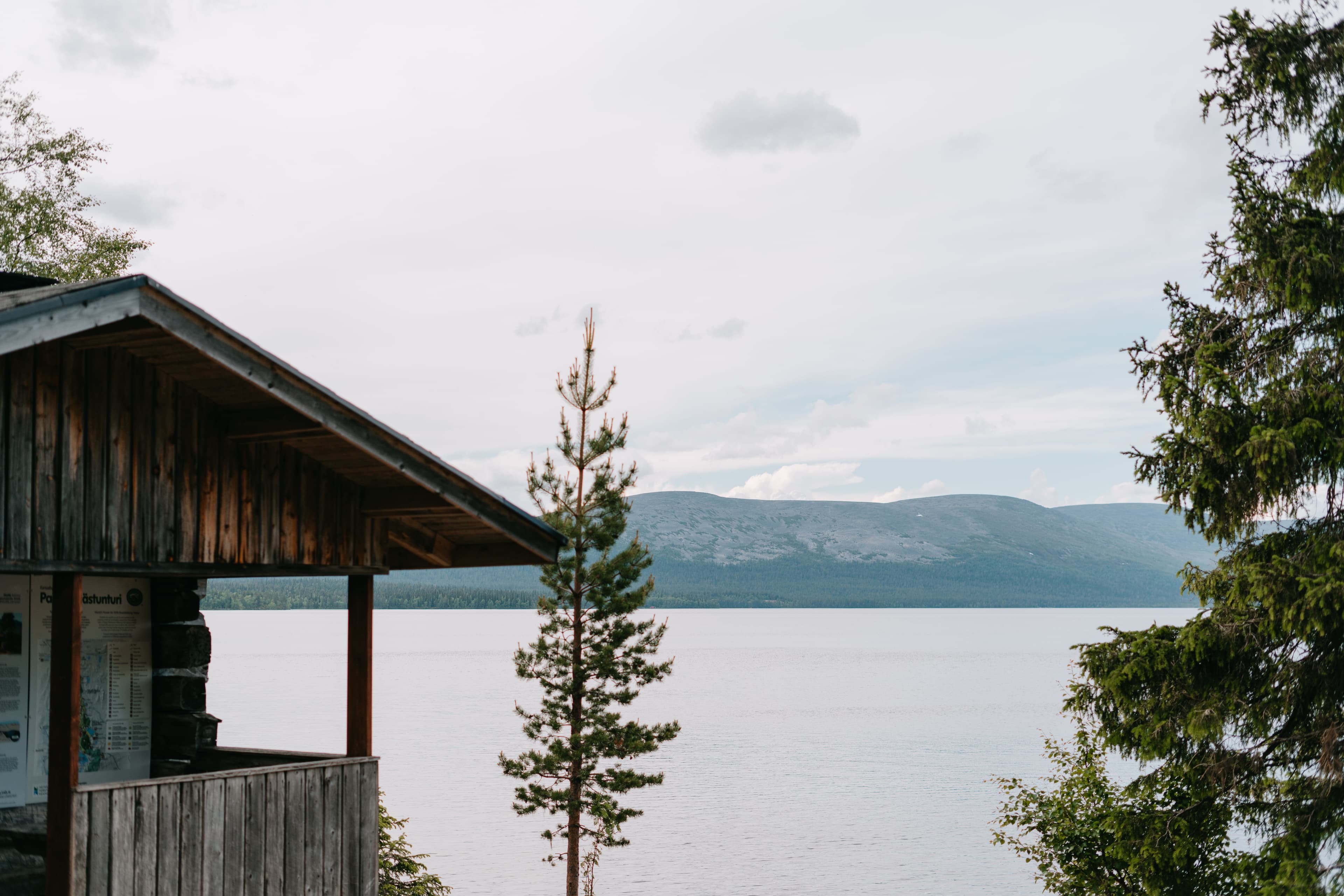 Private - Sightseeing And Short Walk By The Pallas Lake from Levi 