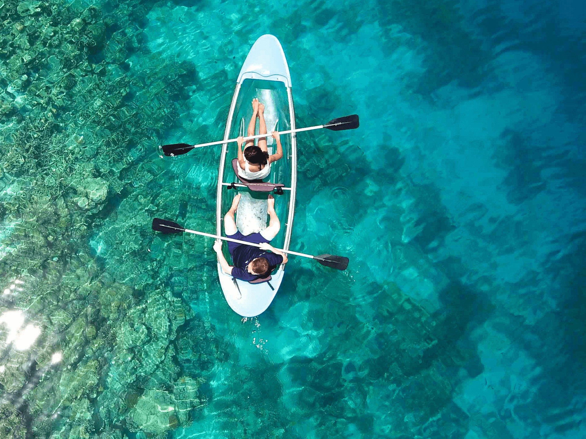 Excursion to the Marietas Islands