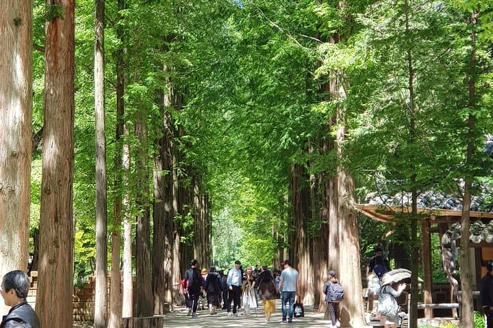 Muslim Tour (Nami Island + Petite France)