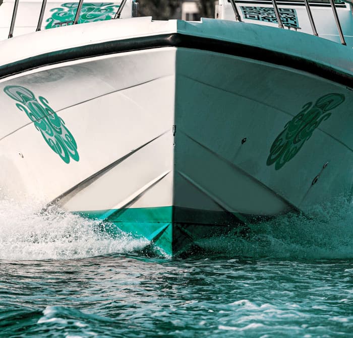 Exclusive boating experience (Snorkeling and Coastal Experience)