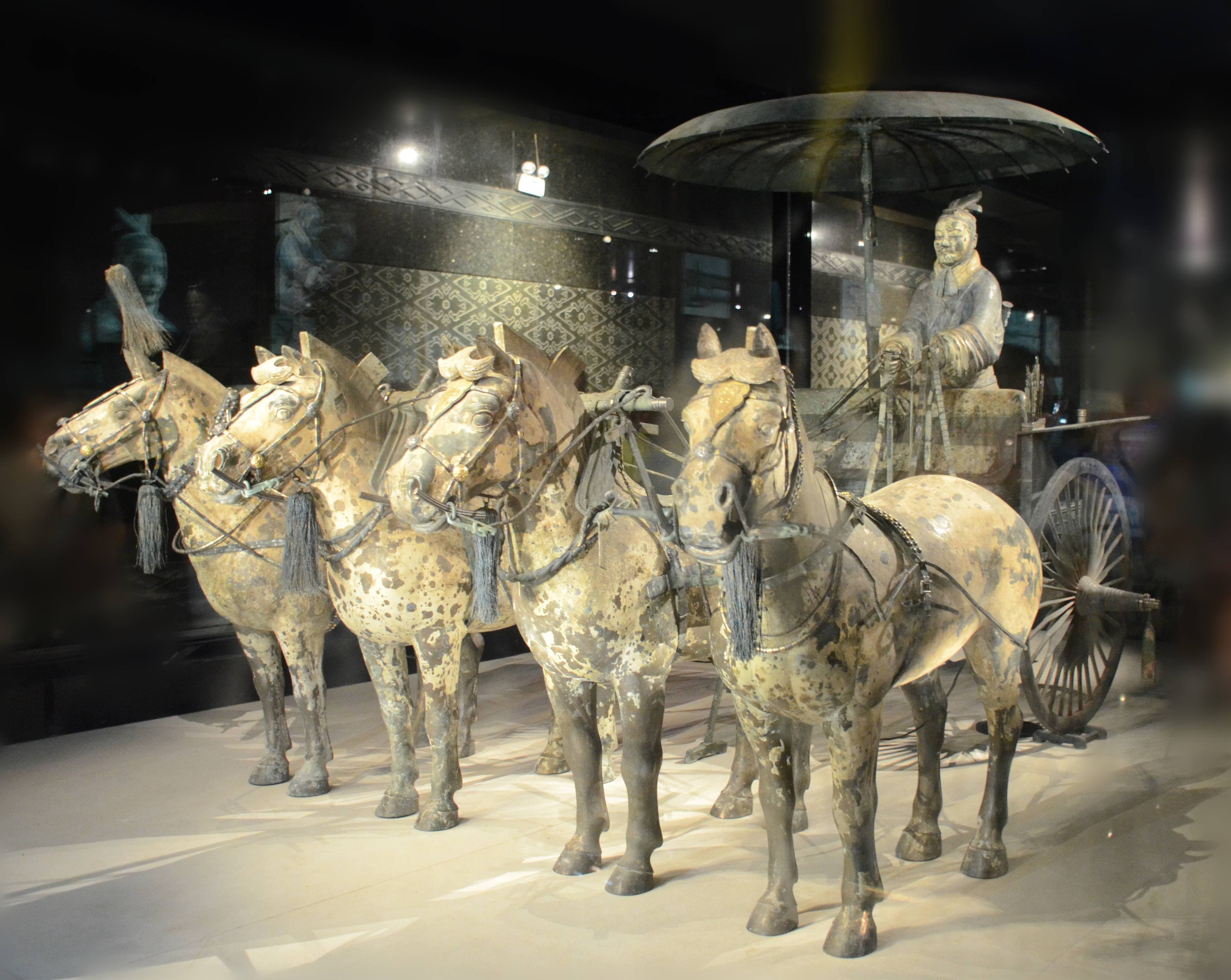 Private Day Tour to Terra Cotta Warriors Museum from Xian 