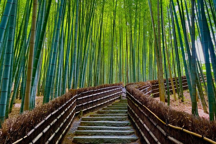 Kyoto Early Bird English Tour: Fushimi-Inari and Arashiyama