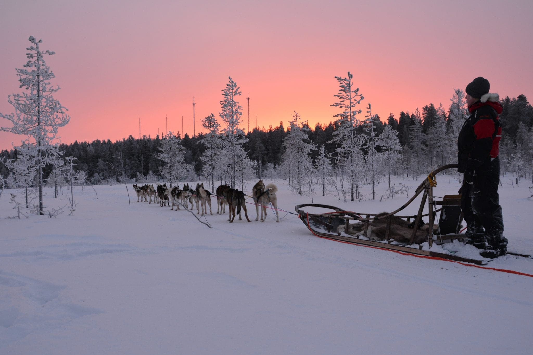 HUSKY FARM VISIT + 2 HOUR SLEIGH SAFARI (20Km)