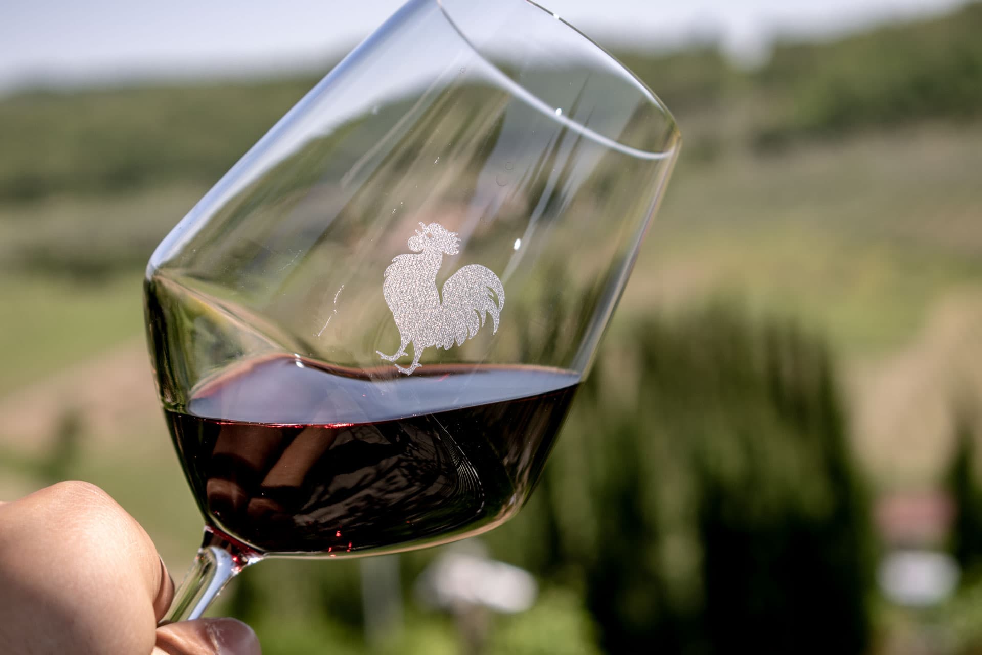 Tuscany Landscapes, Castels & Chianti Wine District